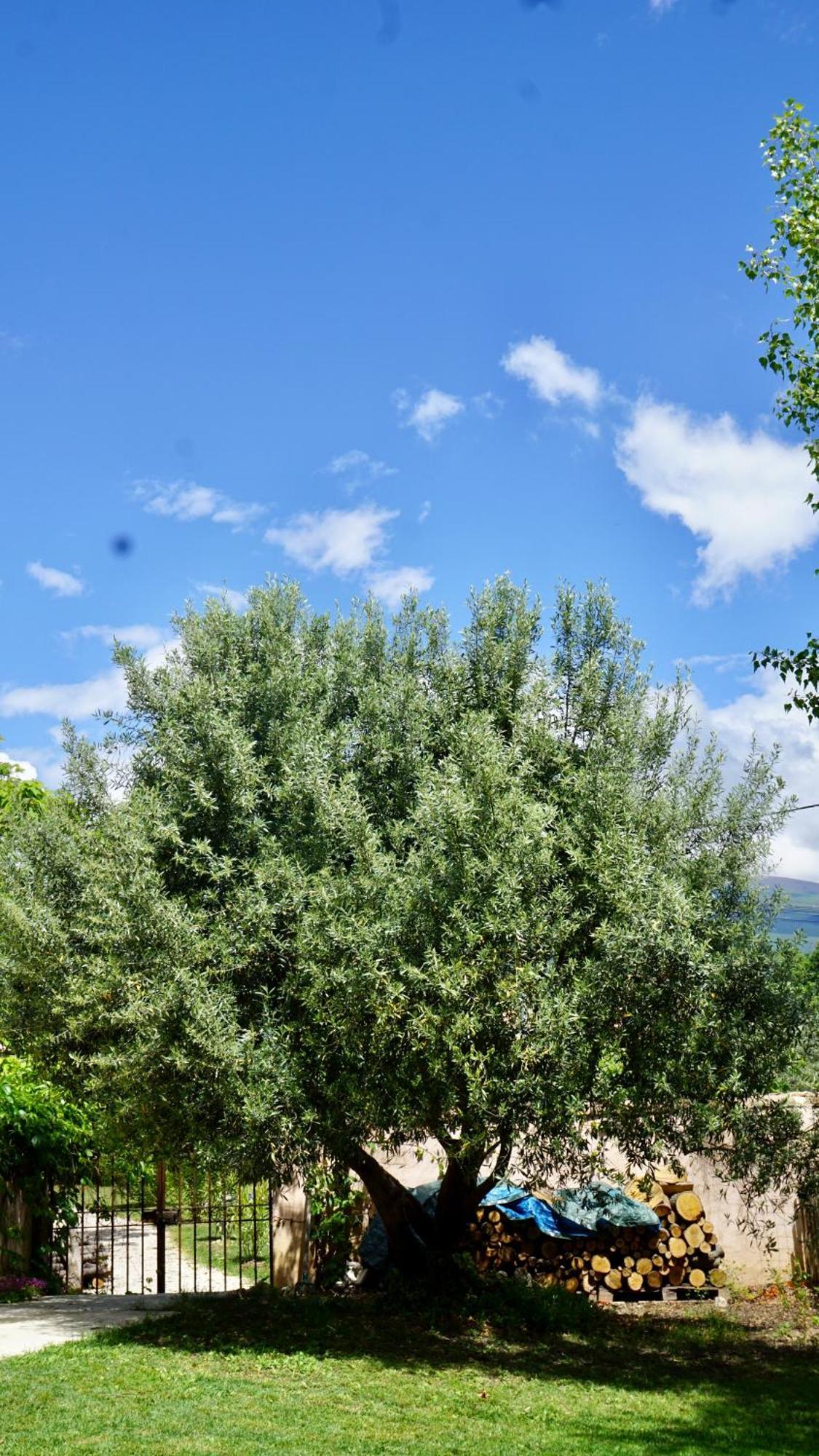 La Belle Histoire Gite Luberon Bédoin Esterno foto