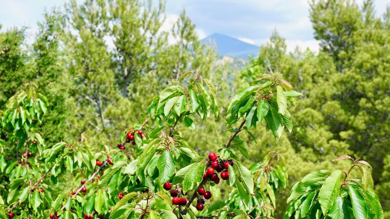 La Belle Histoire Gite Luberon Bédoin Esterno foto